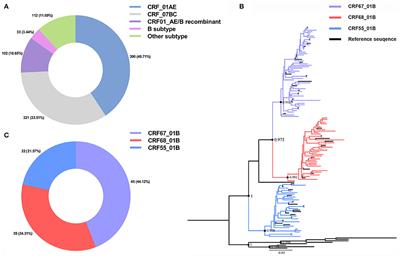 The Molecular Epidemiological and Immunological Characteristics of HIV-1 CRF01_AE/B Recombinants in Nanjing, China